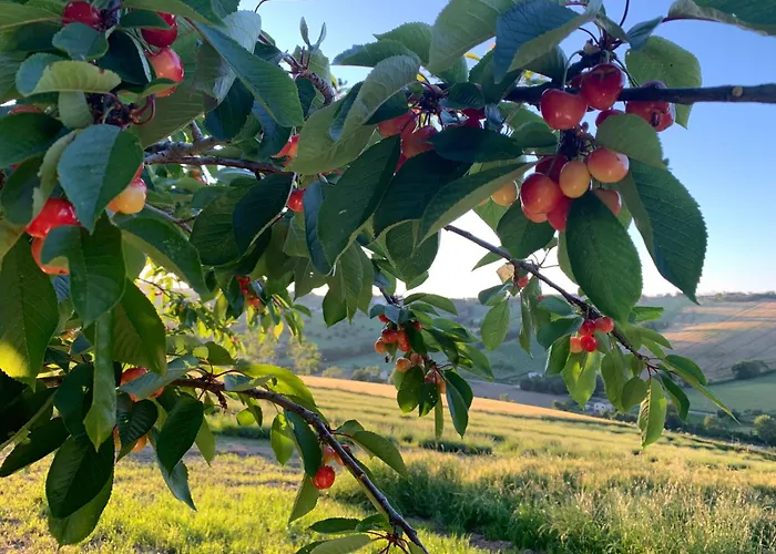 Agriturismo La Corte Fermo